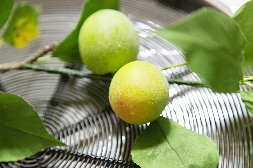 樹脂粘土やシルクを使って作る本物そっくりの果物や草花　工藤愛子さんのクレイ＆シルクアート