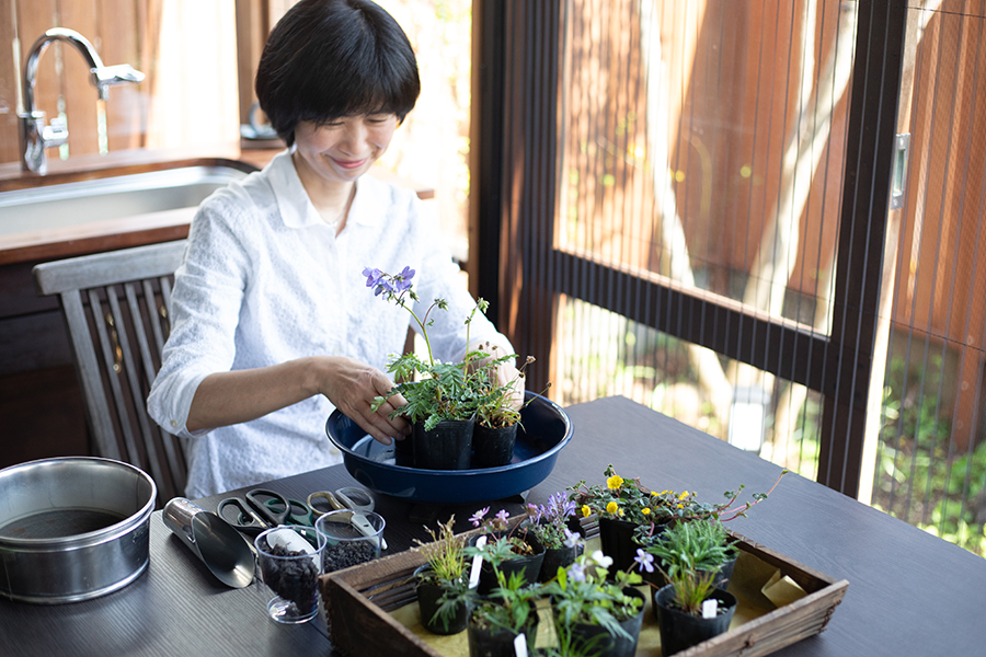 自然との共同作業で生み出す芸術　岩下由紀子さんの「山野草盆栽」