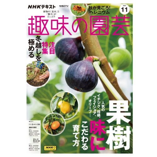 【メディア掲載情報】NHK出版「趣味の園芸」2024年11月号