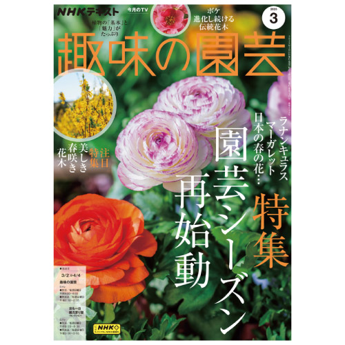 【メディア掲載情報】NHK出版「趣味の園芸」2025年3月号